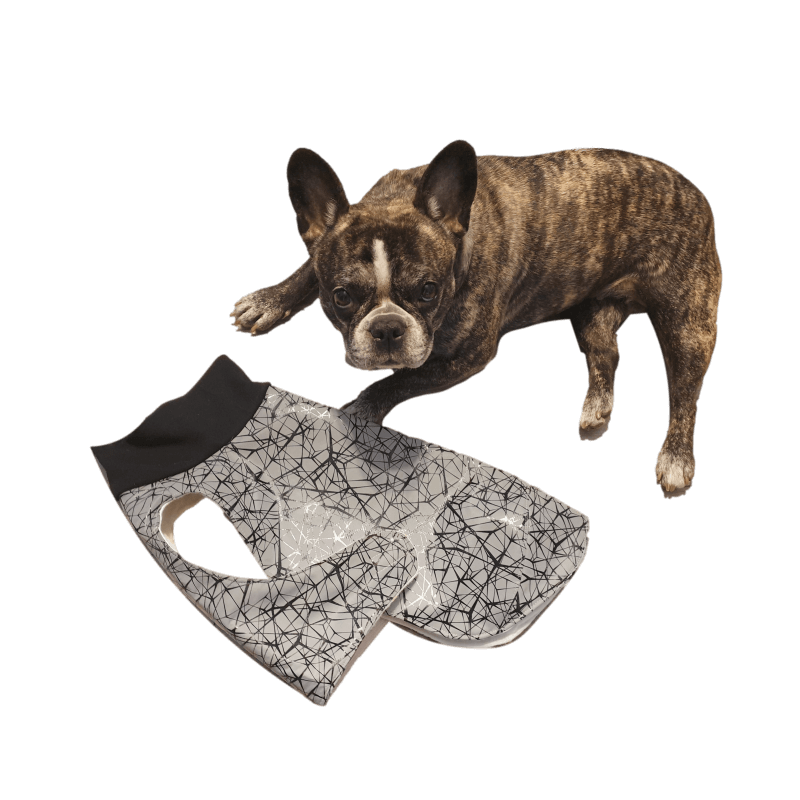 wuff store Hundemantel Bullimantel Schnittmuster und Nähanleitung