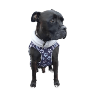 wuff store Hundemantel Bullimantel Schnittmuster und Nähanleitung