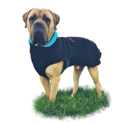 wuff store Hundemantel Bullimantel Schnittmuster und Nähanleitung